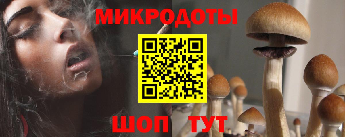 что такое наркотик  Вход с VPN  Кинешма  Псилоцибиновые грибы Psilocybine cubensis  Галлюциногенные грибы ЛСД 