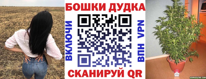 Бошки Шишки тримм  Кинешма 